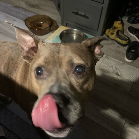 Meet your Posher, Cameron - Picture 13 of 16